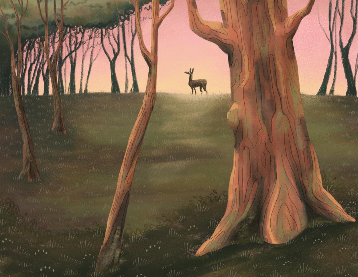 插画师hana美食插画,hannahjesus手绘插画