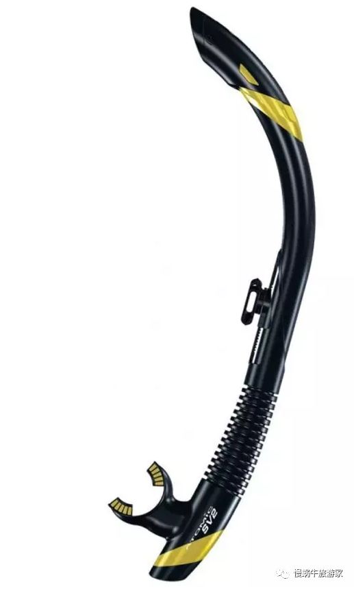 你永远不知道水下存在的危险,浮潜和潜水哪个更好