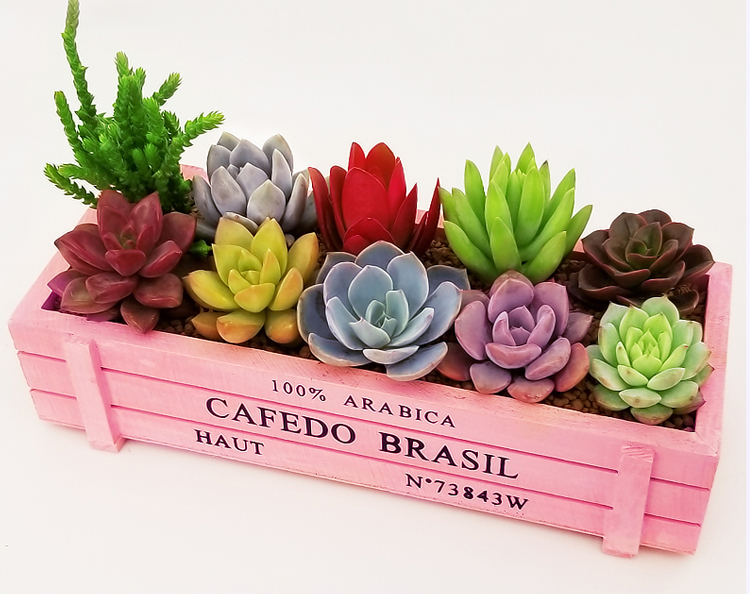 出租屋低成本改造一样可以变精致,出租屋卧室3000元改造