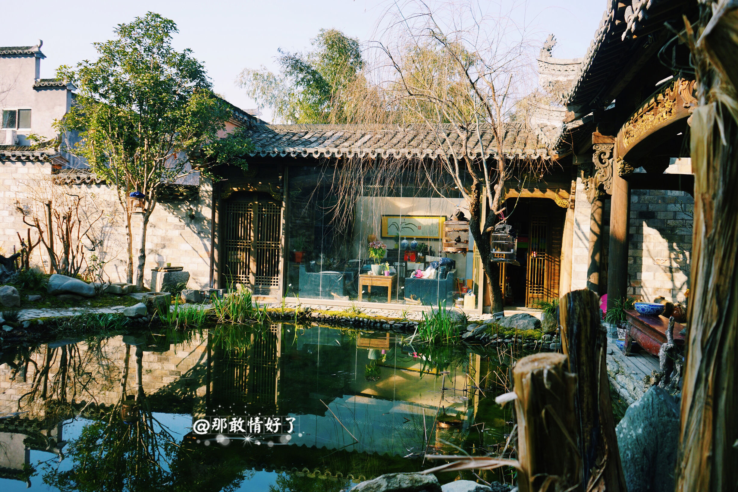 一家三口去南极旅行 (中国一家三口去南极旅游)