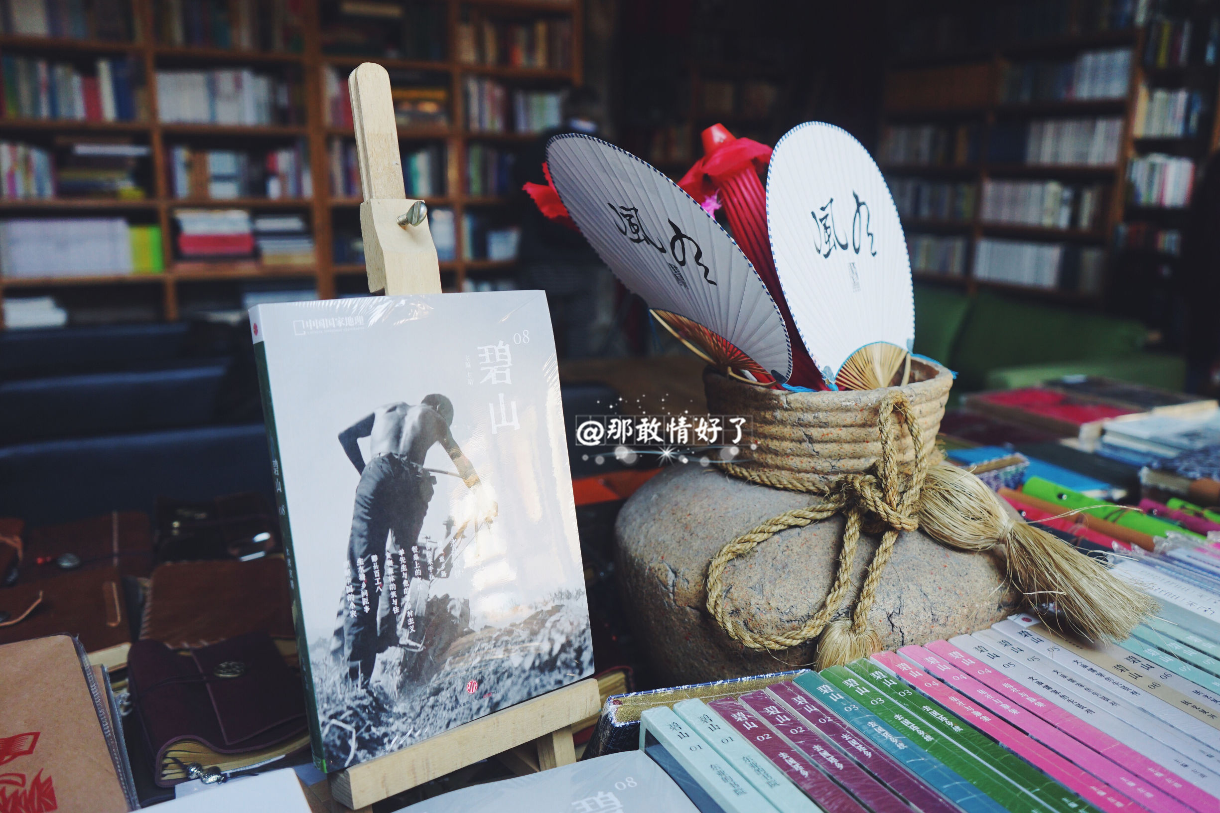 一家三口去南极旅行 (中国一家三口去南极旅游)