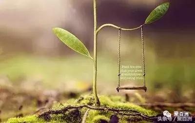 股权激励翻倍案例,滥竽充数的商业启示