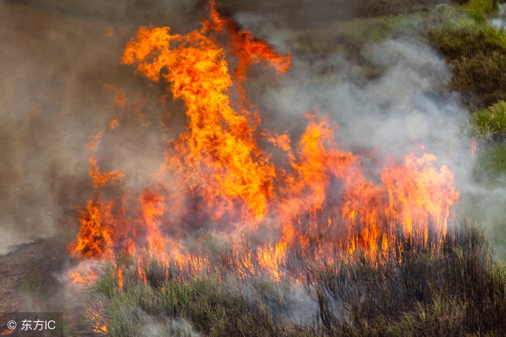 怀孕的村花被返城的对象甩了，她疯了，把刚刚出生的小男孩掐死了