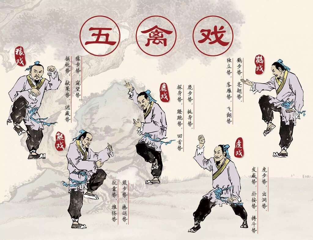 春季养生保健最适宜的药物是,春季养生的穴位按摩之道