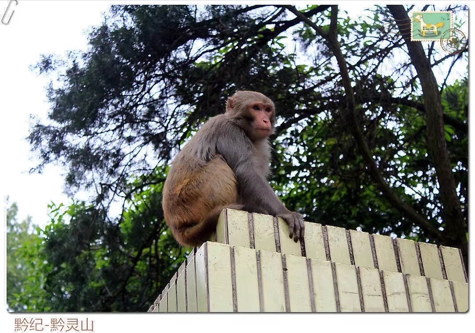 黔灵山地形图,黔灵山脉图片