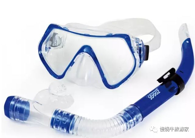 你永远不知道水下存在的危险,浮潜和潜水哪个更好