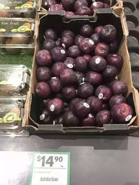 能减肥的水果燕麦,抗衰老防痴呆水果