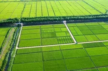 避开人潮去旅游,避开人潮的度假