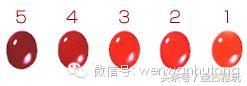 红珊瑚介绍方法,红珊瑚识别方法