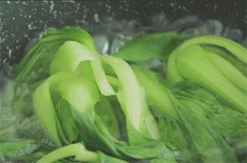 北京雨花斋免费的素食餐厅,营养丰富的素食餐厅推荐