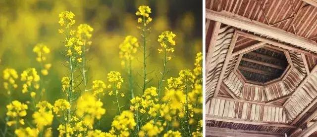 避开人潮去旅游,避开人潮的度假