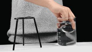 黑蛋为什么那么厉害,黑蛋到底有多聪明