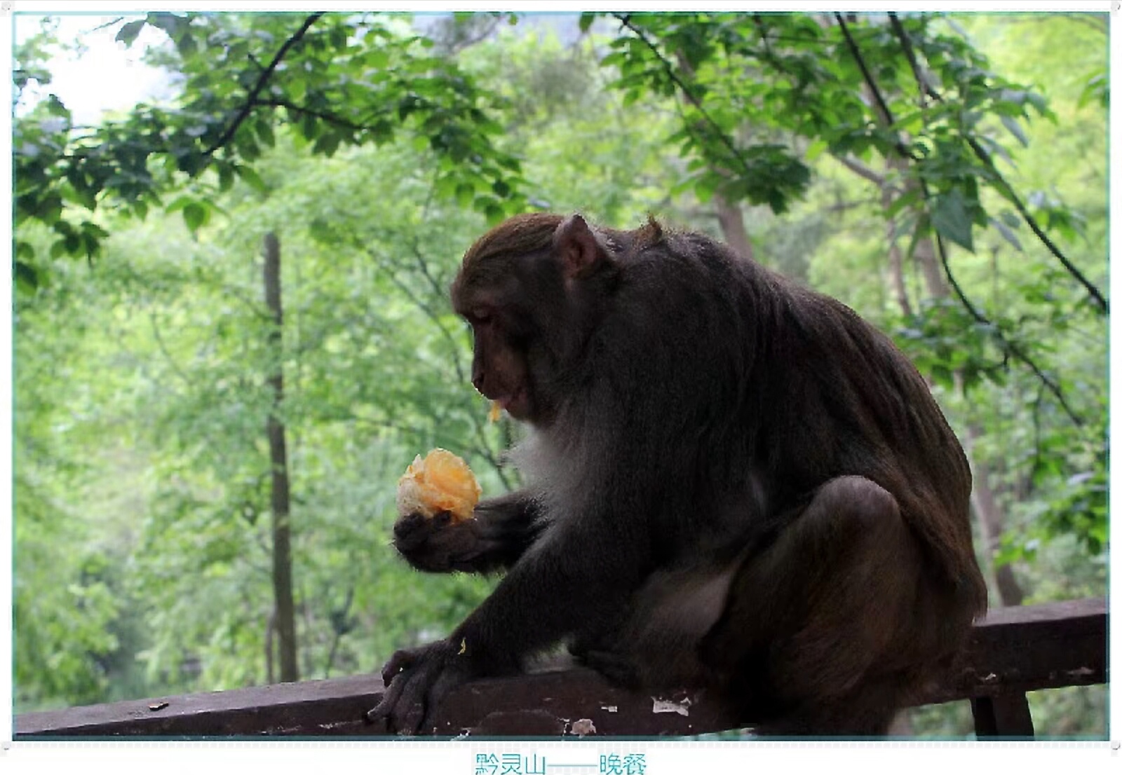 黔灵山地形图,黔灵山脉图片