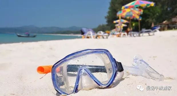 你永远不知道水下存在的危险,浮潜和潜水哪个更好