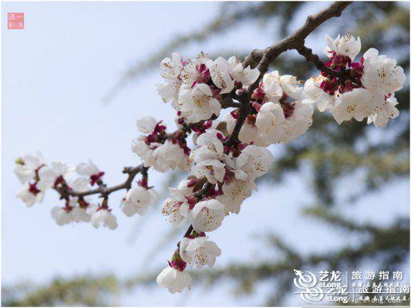 北京最全旅游攻略,北京旅游超全攻略最新