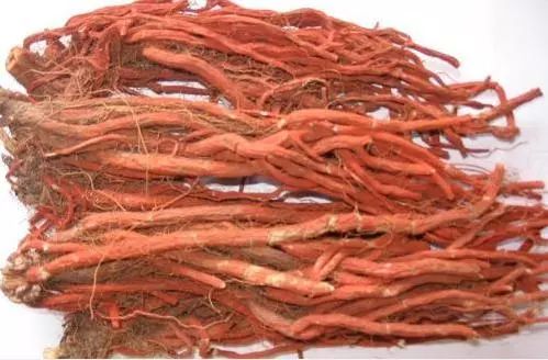 广西种植什么项目最赚钱,2018年种植什么最赚钱