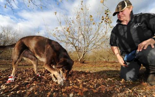 广州亚美科技靠谱吗,广州亚美科技的目标