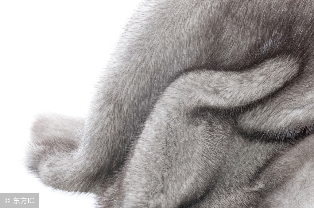 貂皮的好坏怎么辨别图片,如何区分貂皮质量好坏