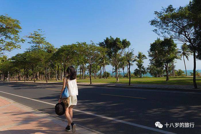 旅行义工vlog,义工旅行旅游攻略