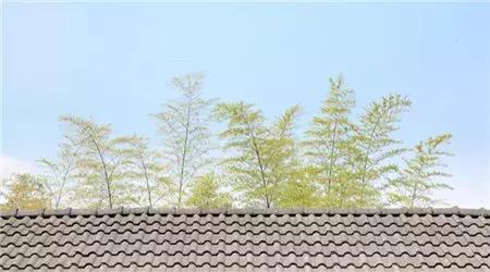 北京文艺日历一览表,北京文艺日历看看哪些不容错过