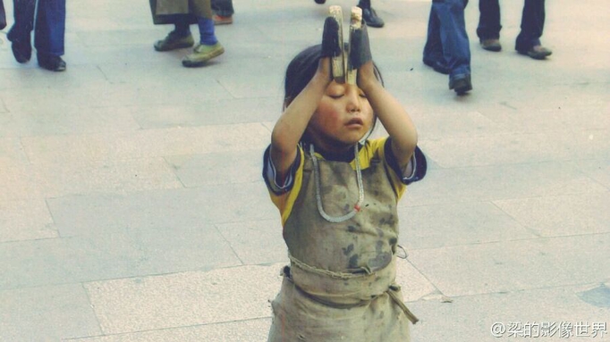 你觉得它的命运该是怎样的——《小松狮》…