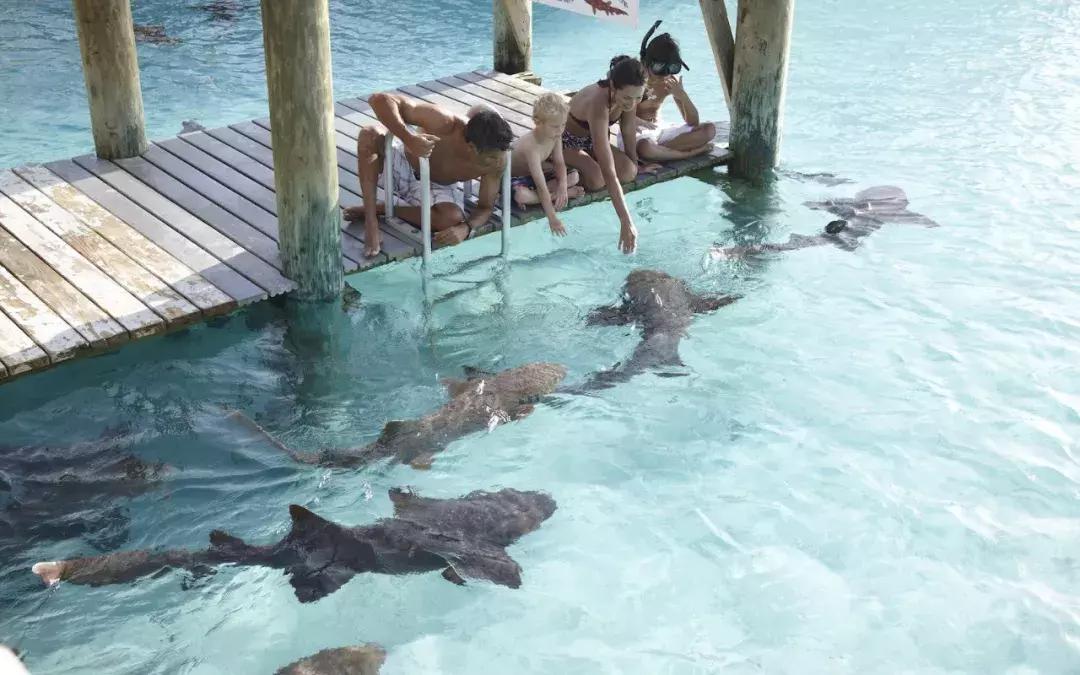 去三亚不如去国外哪里,三亚加勒比海岛