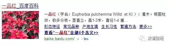 和股市有关的名字,跟股市有关的名字