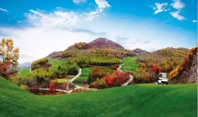 保利爱尚里一期房价多少,最新摇号楼盘点评