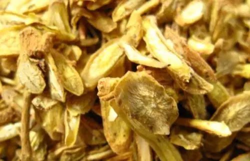 广西种植什么项目最赚钱,2018年种植什么最赚钱