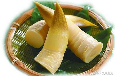 罗汉竹竹笋的功效与作用,毛竹麻竹箭竹楠竹的区别