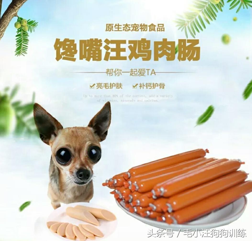 狗狗贪吃怎么训练,金毛狗狗挑食怎么办