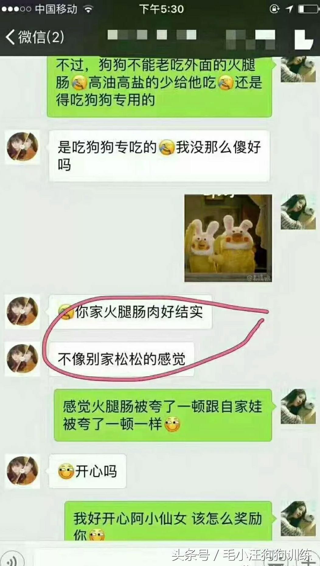 狗狗贪吃怎么训练,金毛狗狗挑食怎么办