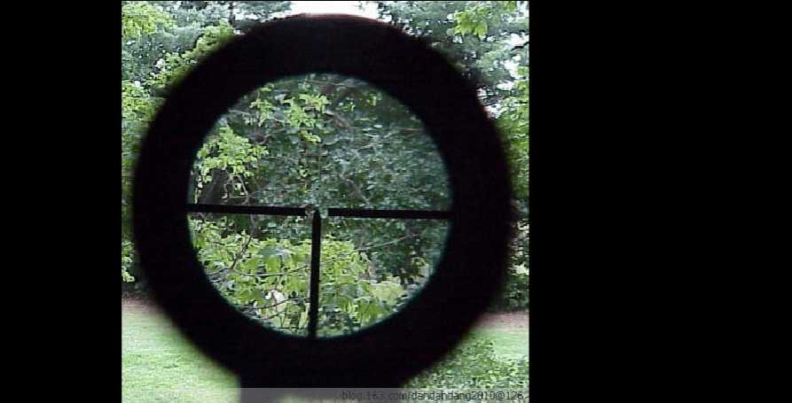 枪械瞄准器如何瞄准,步枪各种瞄准器怎么看