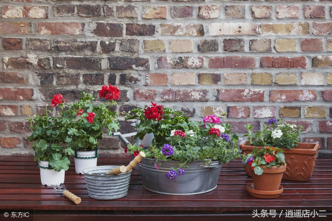 2019冷门暴利小生意,10个冷门暴利行业推荐