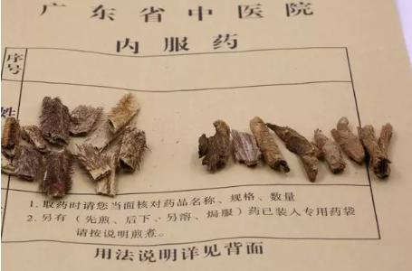 草豆蔻和肉豆蔻的区别是什么,肉豆蔻和草豆蔻区别