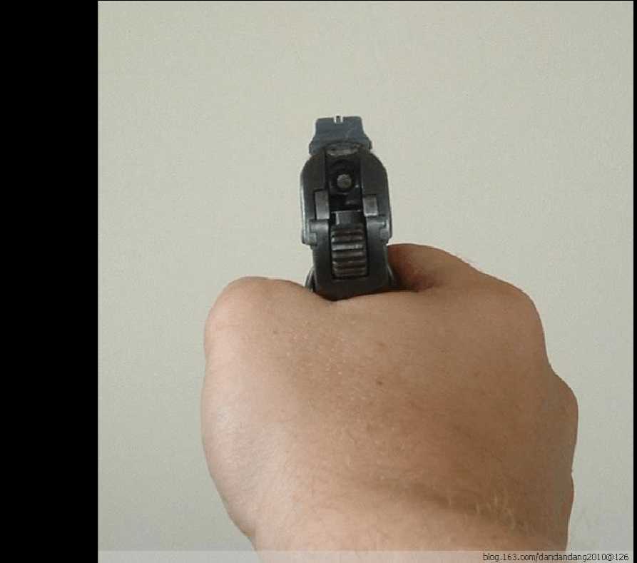 枪械瞄准器如何瞄准,步枪各种瞄准器怎么看