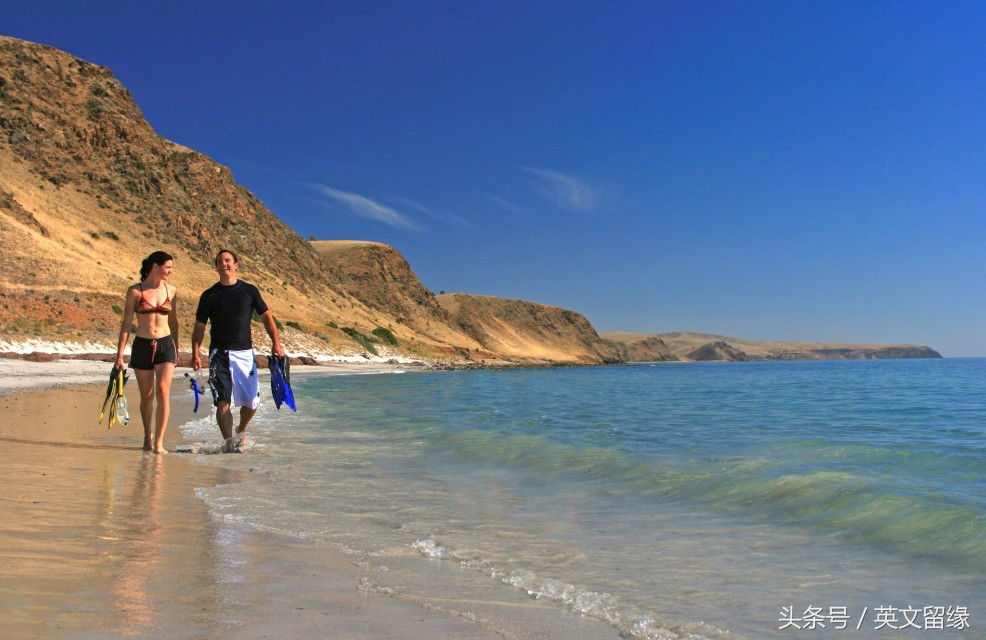 你想要来到澳洲工作赚钱、学习、旅游吗？澳洲462打工度假签证
