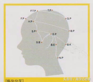 美发头部分区图,理发时头部分区名称
