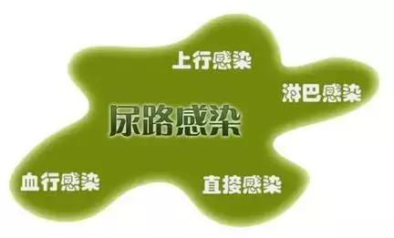 中医泌尿系统疑难杂症,尿路方面的名医