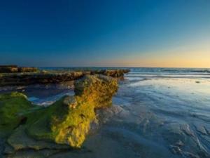 涠洲岛是最大的火山岛吗,北海涠洲岛火山石景区