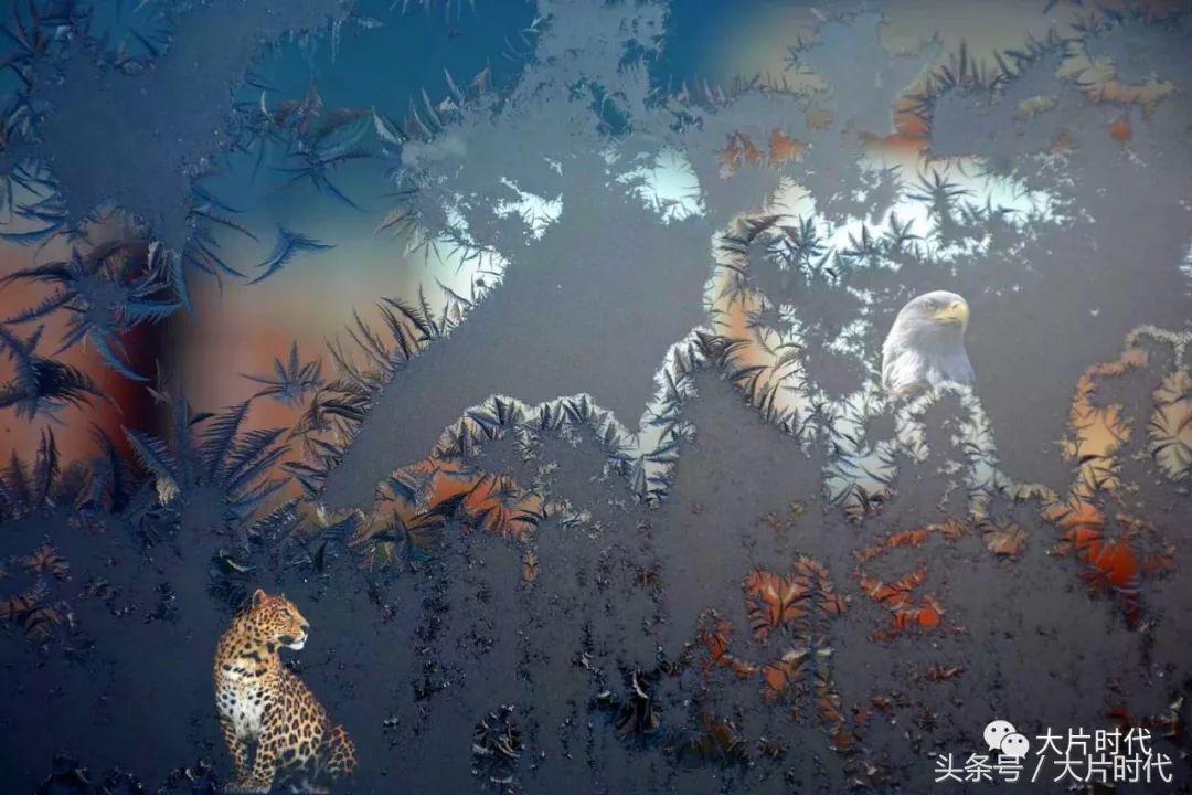 美丽中国摄影片段,38集美丽中国