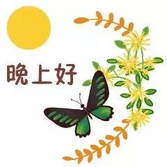 最美的晚安祝福短信,温馨的晚安问候语