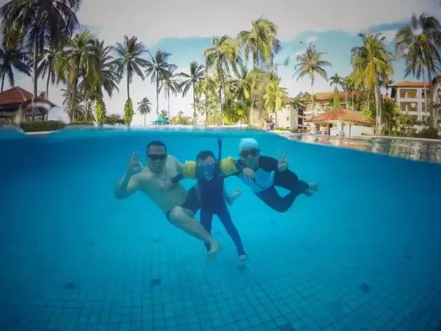 美娜多11月,为你还原真实燕窝