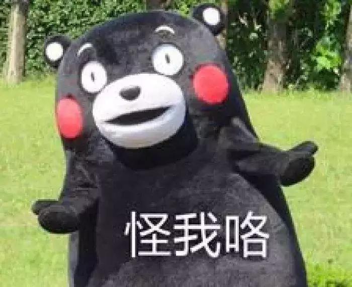 台湾网友：大陆太落后了才用手机支付！这智商真感人