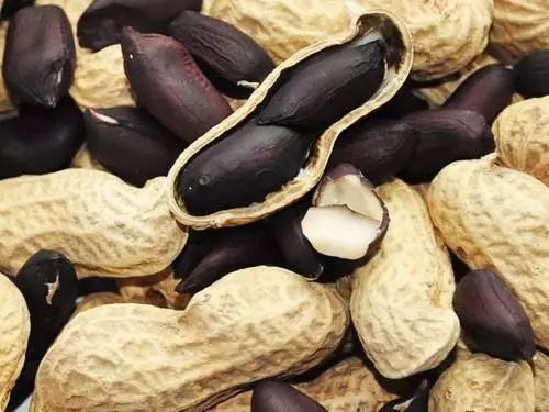 广西种植什么项目最赚钱,2018年种植什么最赚钱