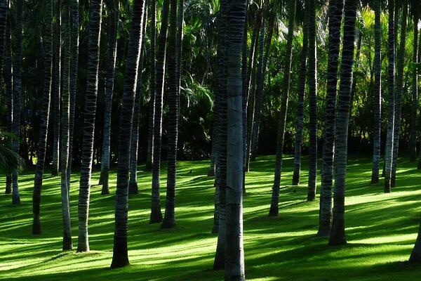 林权证可以分户吗,林权证分户是在哪个部门办理