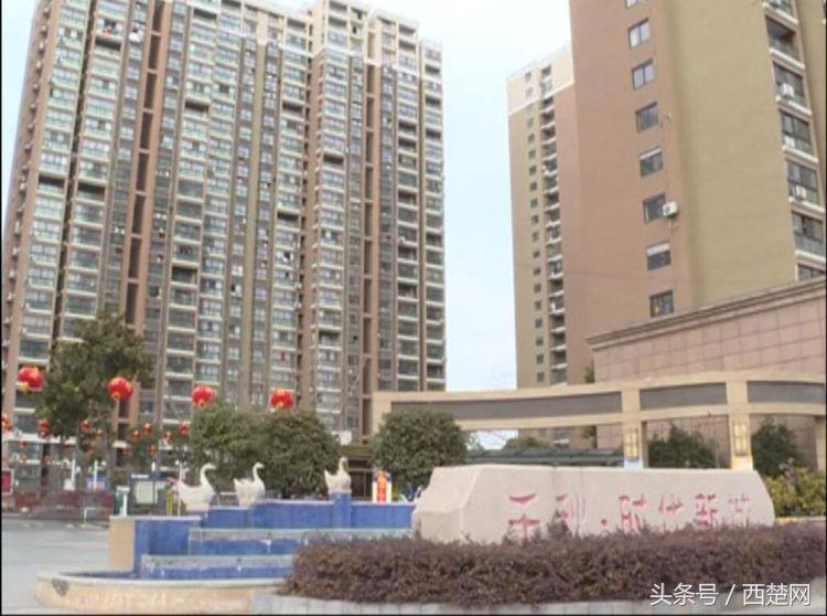 苏州一业主和保安起冲突完整视频,业主保安发生争执后续