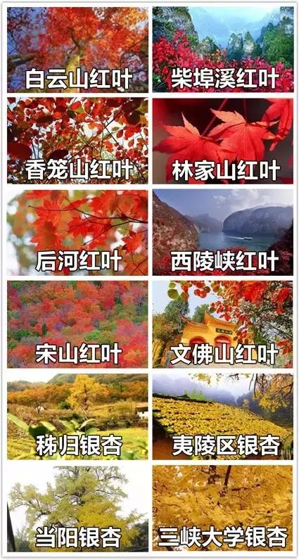 为什么2018年还要留在宜昌？这是我所有的理由！