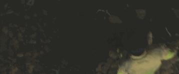 这部几乎把韩国人都赶到影院的巨片，我一手五颗星一手一颗星