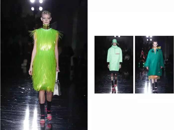 抱着狗狗走秀,抱着狗狗模特走秀视频